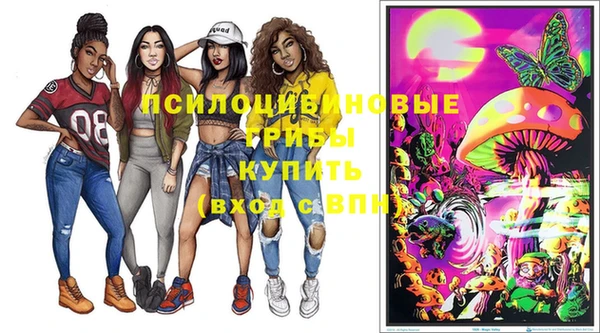 СК Горно-Алтайск