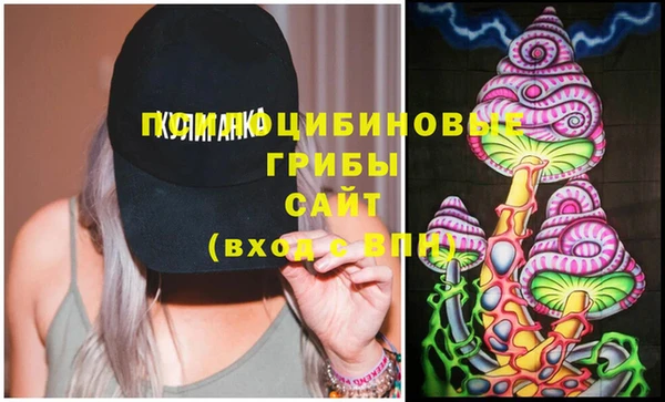 эйфоретик Гусев