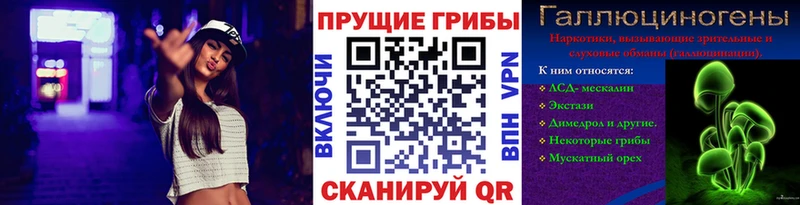 Купить закладки  Куртамыш  Галлюциногенные грибы мухоморы 